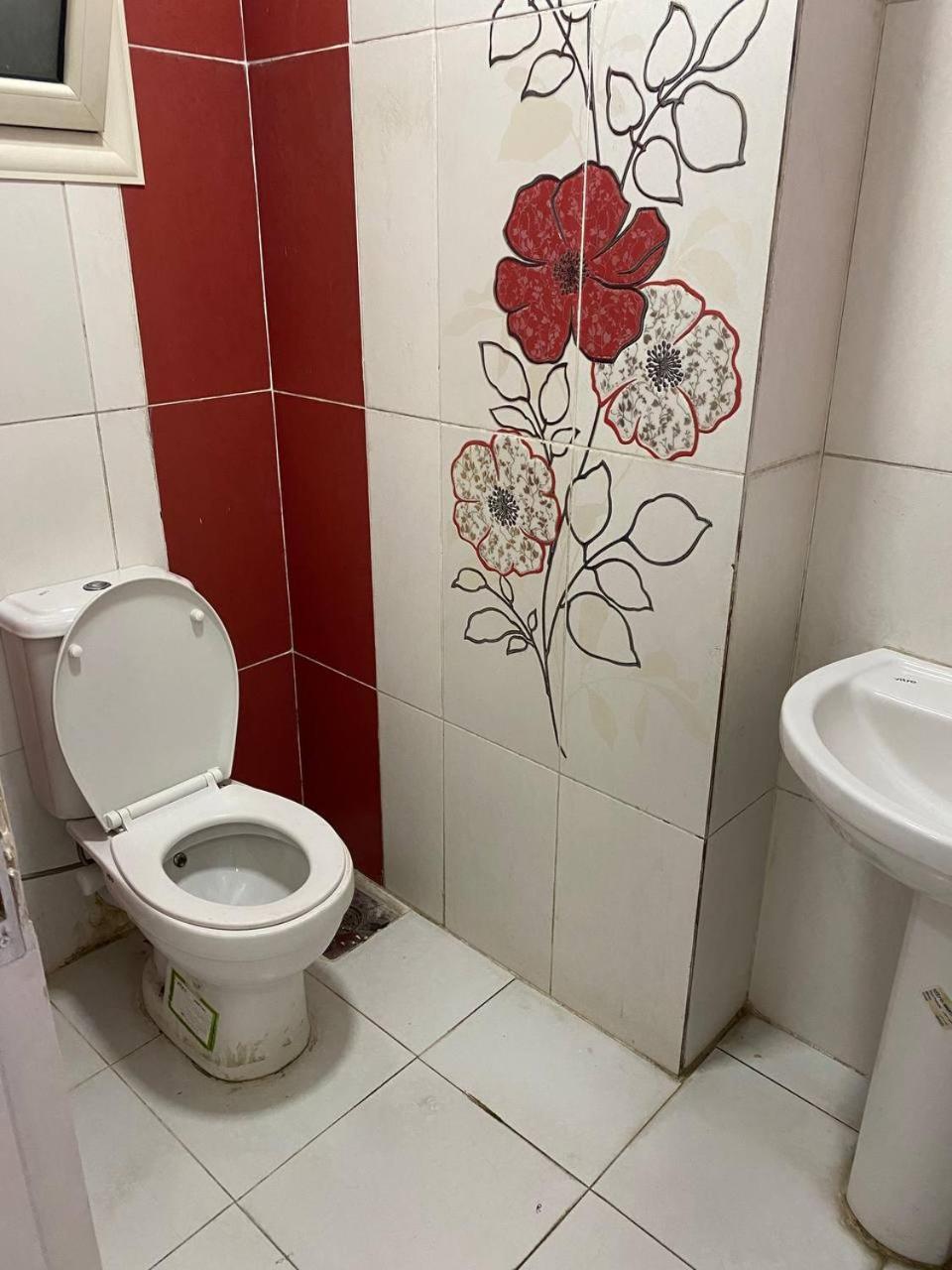 كامب شيزار Apartment Alexandria