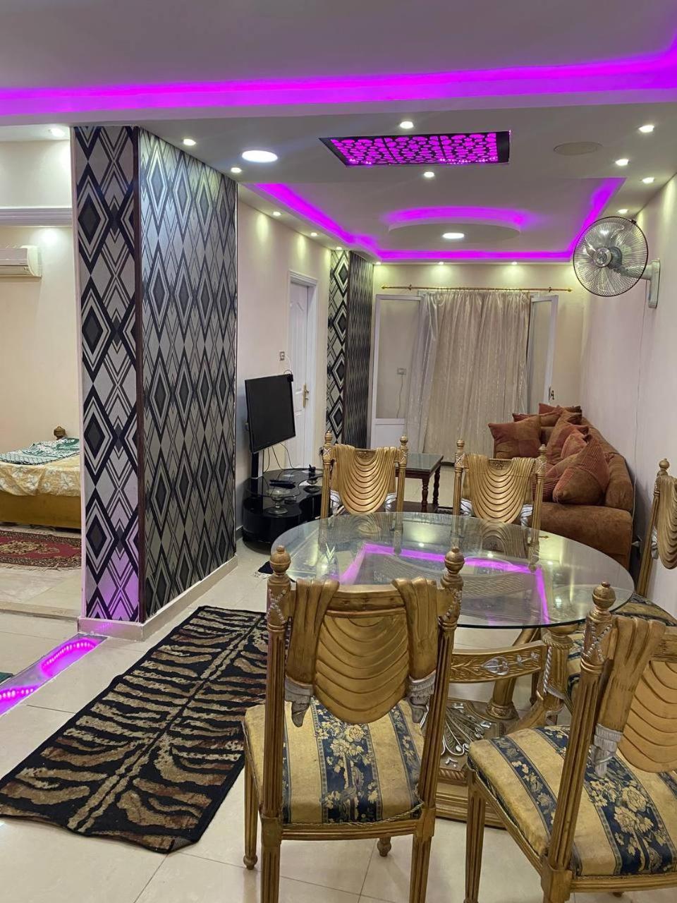 كامب شيزار *